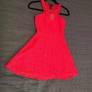 Material Girl Bright Rose Dress